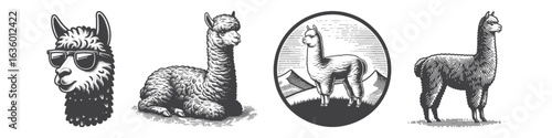Vintage Hand-Drawn Alpaca On Mountain Illustration, Scenic Nature Engraved Vector for Adventure and T-Shirt Design