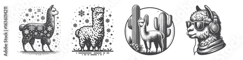 Vintage Hand-Drawn Alpaca With Sunglasses Illustration, Cool Style Engraved Vector for Summer and T-Shirt Design
