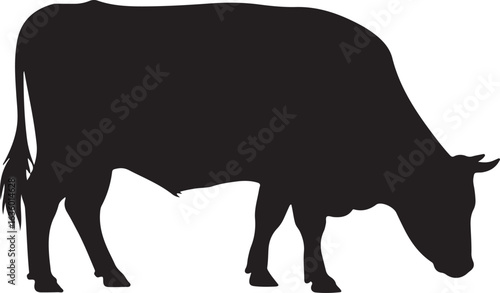 Black Silhouette of a Cow Grazing on a White Background cattle livestock