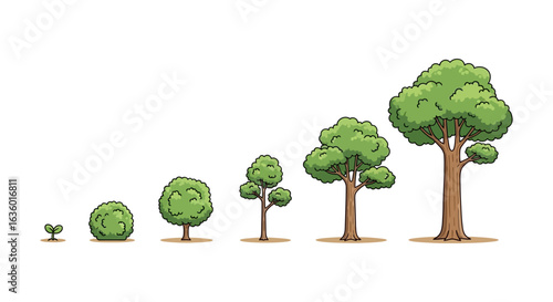 A clear illustration depicting the complete life cycle and progressive growth stages of a tree, evolving from a small sprout to a large mature plant.