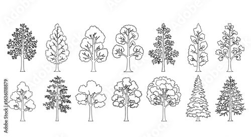 A comprehensive collection of diverse tree outline vector illustrations, showcasing various deciduous and coniferous species for design and graphic projects.