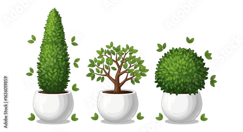 A charming illustrative collection of diverse potted plants, featuring elegant topiaries and a small leafy tree, all nestled in pristine white containers.