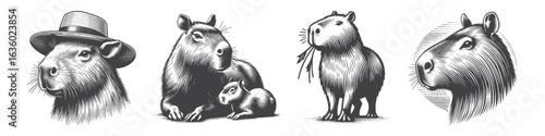 Vintage Hand-Drawn Capybara Wearing Cool Hat Illustration, Animal Engraved Vector for Fashion and T-Shirt Design