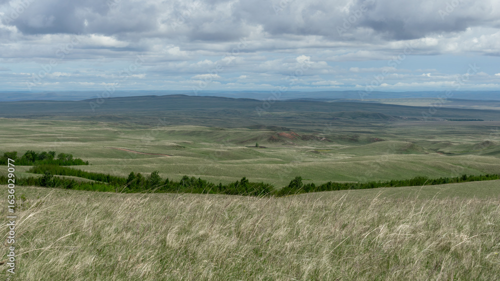 Expansive green landscape with rolling hills, tall grass swaying in the wind, under a cloudy sky, showcasing the beauty of nature and open spaces in a serene environment Expansive green landscape with rolling hills, tall grass swaying in the wind, under a cloudy sky, showcasing the beauty of nature and open spaces in a serene environment
