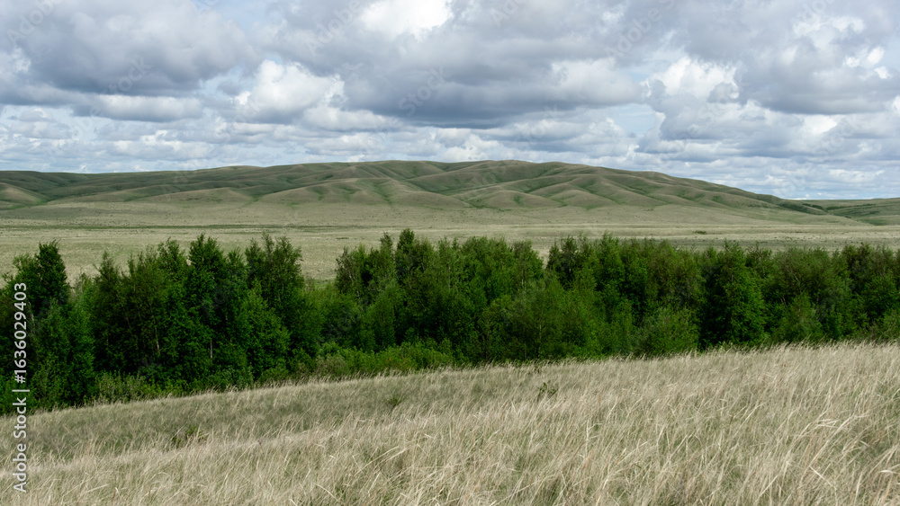 Fototapeta premium Expansive green landscape with rolling hills under a cloudy sky, showcasing the beauty of nature and the tranquility of the countryside in a serene environment