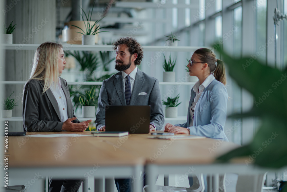 Fototapeta premium Businesspeople discussing work in modern office with laptop