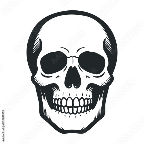Detailed black and white human skull drawing with intricate linework. Vector illustration