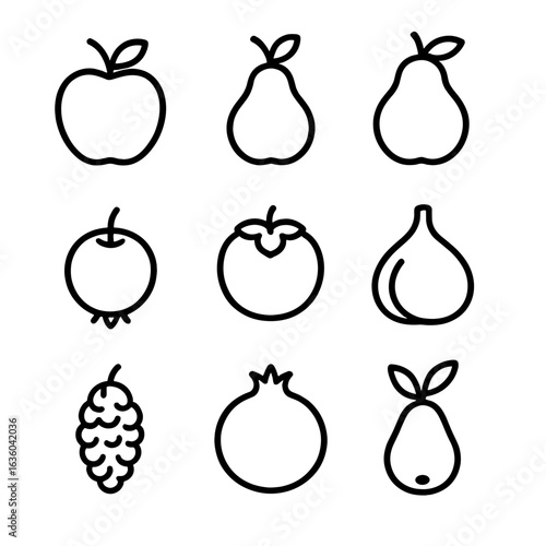 Orchard Fruit Icons. Line style icons of Orchard Favorites: apple, pear, quince, medlar, persimmon, fig, mulberry, pomegranate,