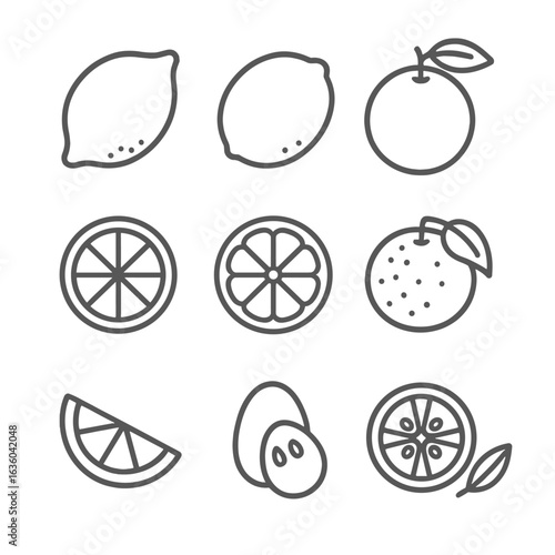 Citrus Fruit Icons. Line style icons of Citrus Fruits: lemon, lime, orange, grapefruit, tangerine, pomelo wedge, kumquat, yuzu