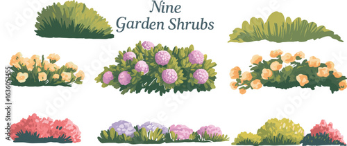 Nine garden shrubs illustration, colorful flowering bushes, spring and summer plants, landscape decoration, ornamental garden design, greenery, botanical art printnt