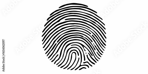 Illustration of a fingerprint with black lines forming a circular pattern on a white background design