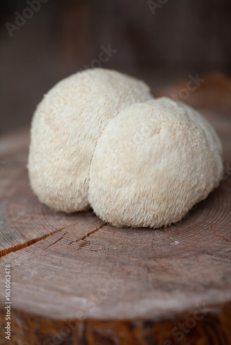 Lion's mane - Hericium erinaceus, medicinal mushroom contains  phytochemicals: polysaccharides,  β-glucan, hericenones and erinacines  - that promote nerve growth factor in human brain.
