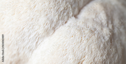 Lion's mane - Hericium erinaceus, medicinal mushroom contains  phytochemicals: polysaccharides,  β-glucan, hericenones and erinacines  - that promote nerve growth factor in human brain.