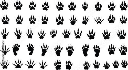 Animal paw prints, wildlife footprint silhouettes, black vector animal tracks, bear wolf dog cat bird footprints, nature icons, design elements set