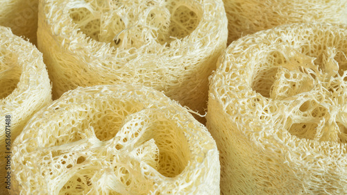 Cuadro en lienzo porous textured sponge made of natural loofah macro