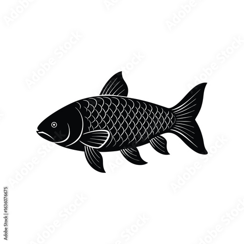 detailed grass carp silhouette showing dorsal pec.eps
