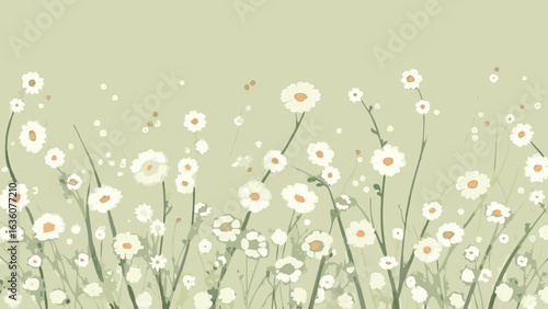 A gentle field of daisies with soft green backdrop creating a calming and peaceful floral scene design