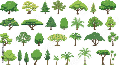 Isolated nature elements: A detailed pack of various trees including tropical palms and deciduous species, each rendered with a clean art style suitable for digital art, games, and presentations.