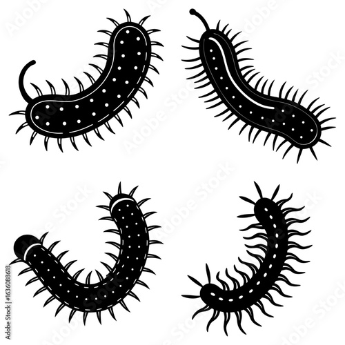 Illustration of four black spiky microorganisms with rounded bodies and small appendages on a white background