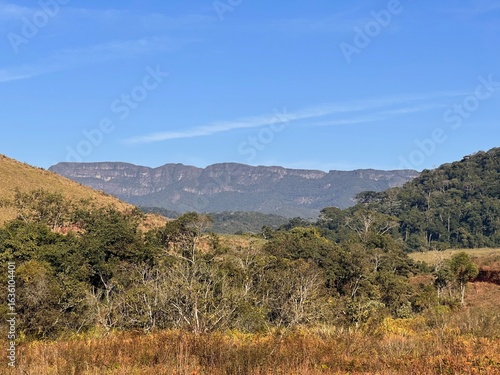 joshua tree national park