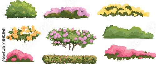PrColorful garden bushes and flowering shrubs illustration, landscaping plants, vibrant foliage, decorative hedges, spring blossoms, park greenery, botanical design elementsnt