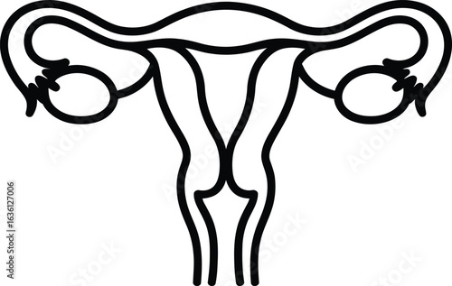 high quality Female Reproductive System Diagram
