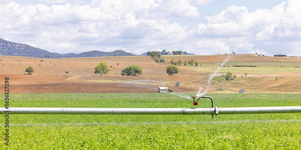 Fototapeta premium Farm irrigation system watering lush green paddocks in rural NSW