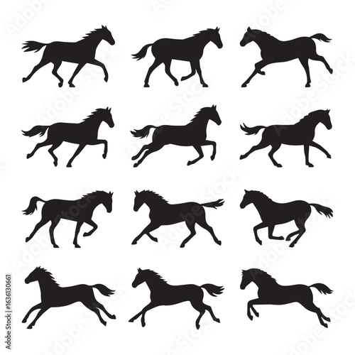 Collection of dynamic horse silhouettes capturing various gaits and poses in motion