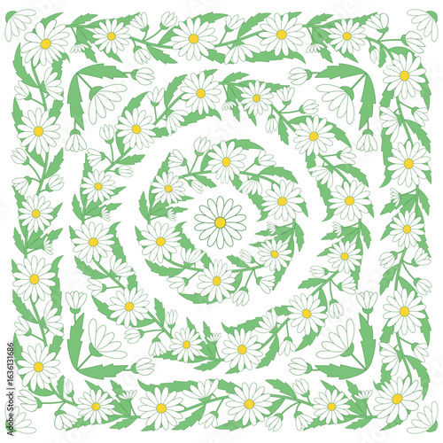 Wreaths of white chamomiles with green leaves on a white background. Floral vector square pattern.