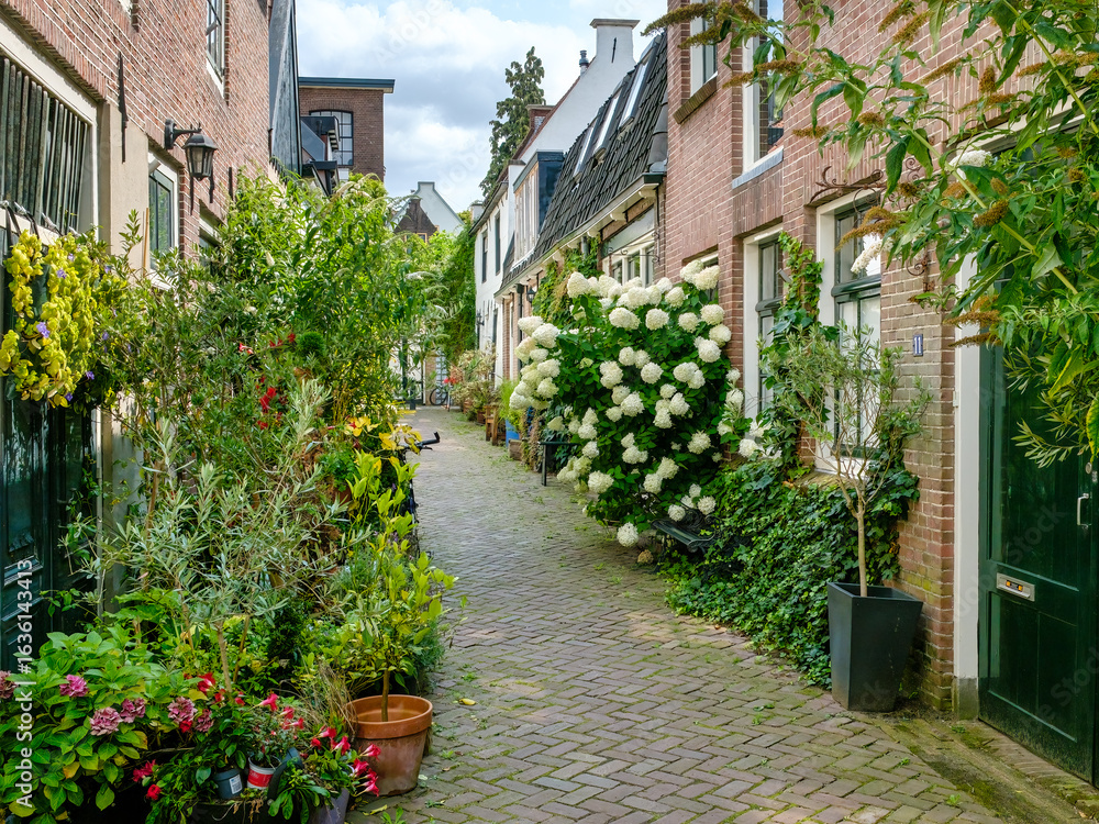 Obraz premium Weesp, Amsterdam, Noord-Holland province, The Netherlands