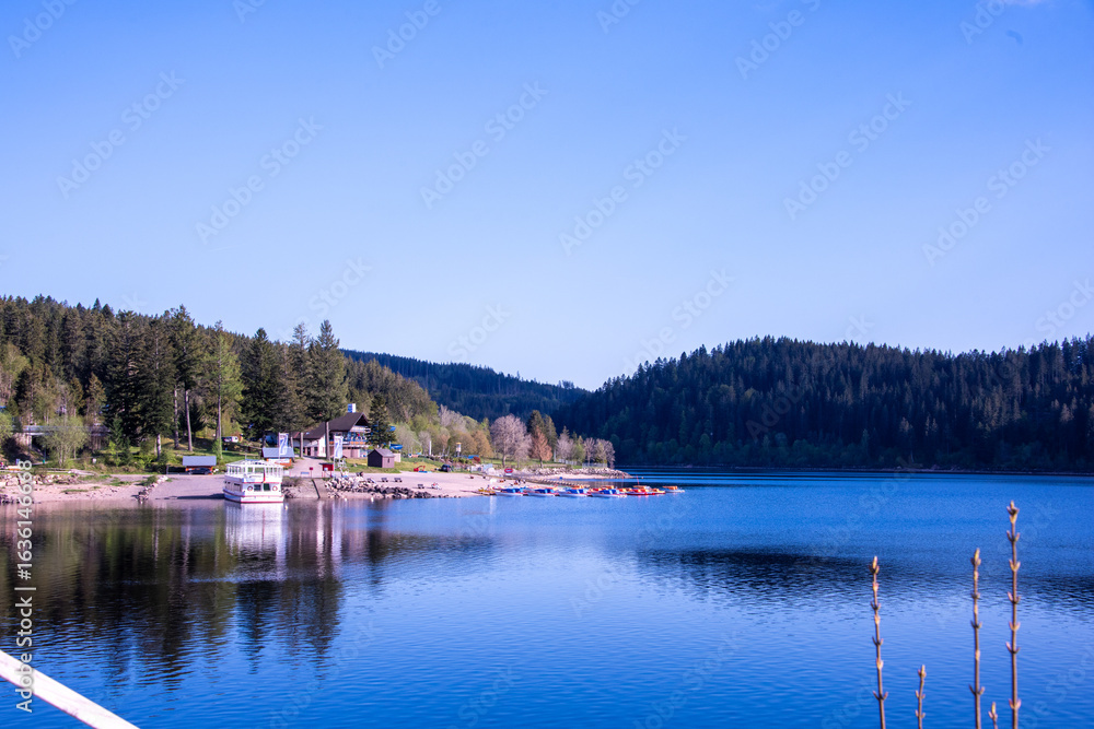 Obraz premium Schluchsee shimmers under the clear summer sky — a tranquil jewel of the Black Forest, perfect for sunlit reflections and peaceful escapes