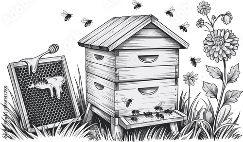 Beehive sketch, black and white bee drawing, detailed apiary illustration, honey bees, beekeeping artwork, honeycomb scene, natural garden sketch