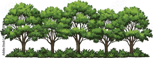 Row of five leafy trees, medium green foliage, forest trees, natural greenery, garden plants, tree trunks, bushy undergrowth, outdoor landscape