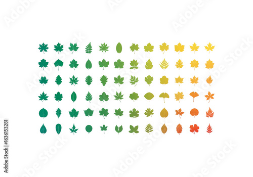 set of 50 leaf silhouettes, gradient colors from green to yellow, various species and styles, isolated on white background, grid layout
