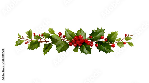 Festive Holly Branch with Red Berries Christmas Decoration Winter Holiday Green Leaves