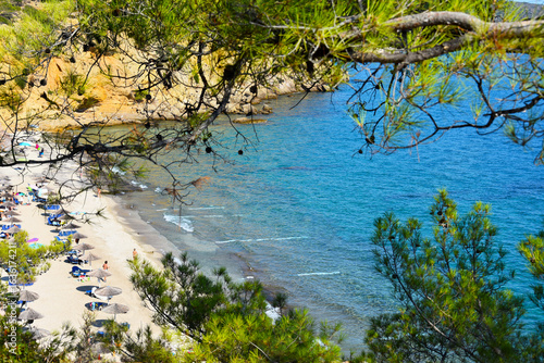 Fototapeta Naklejka Na Ścianę i Meble -  Metalia Beach in Limenaria, Thassos Greek island stock photo images. Thassos Greek island landscape with sea and pine trees stock photo. Beautiful Metalia beach on Thassos, Greece photo