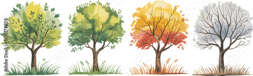 Illustration of four seasonal trees, spring, summer, autumn, winter, colorful foliage, nature landscape, botanical art, eco friendly, decorative design elements