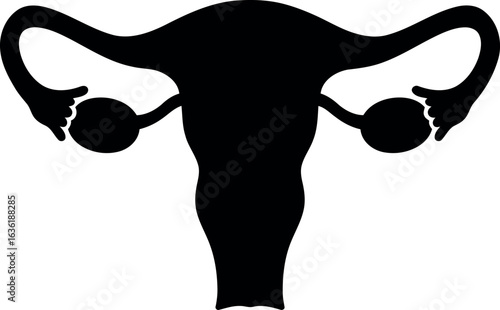 Female reproductive system silhouette icon
