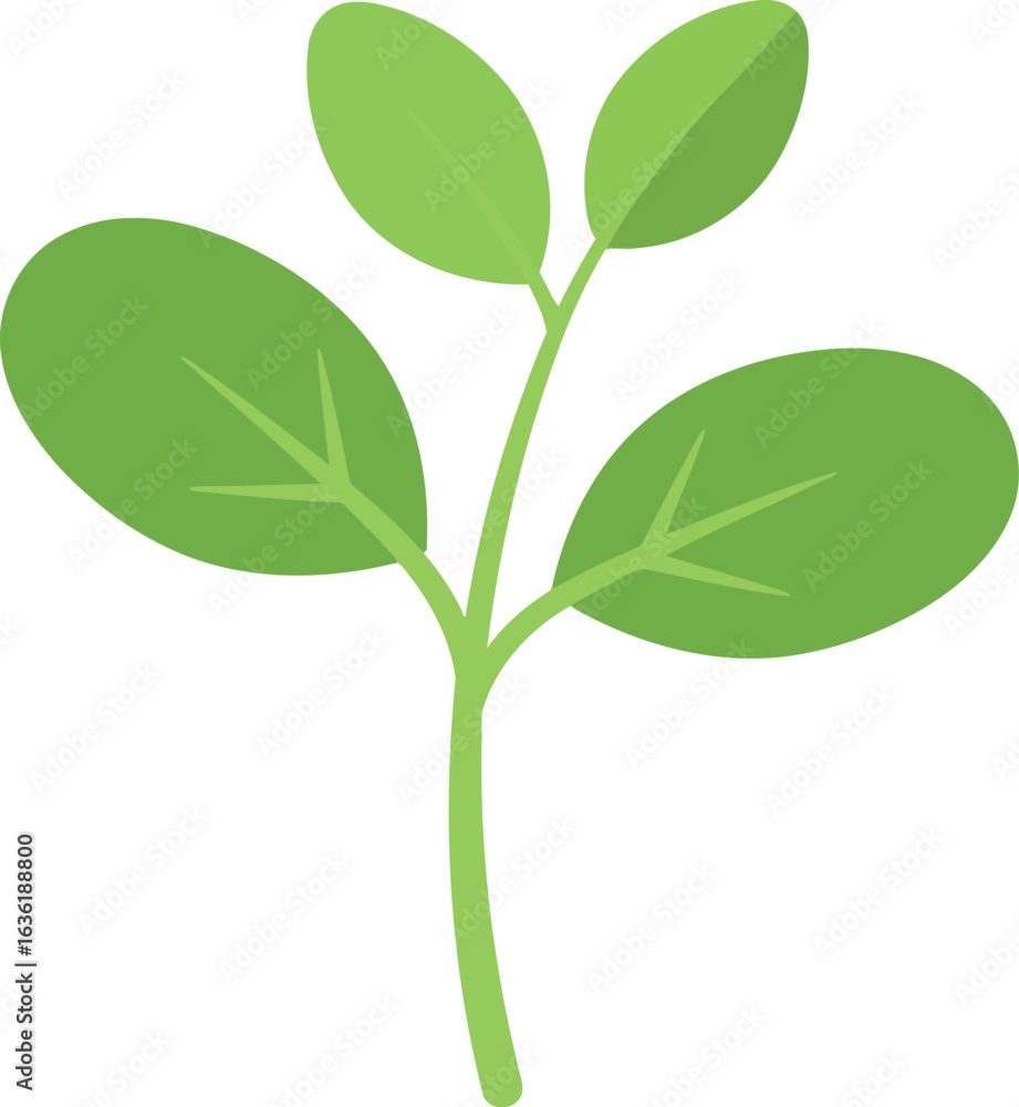 Obraz premium Green sprout growing plant isolated on white background