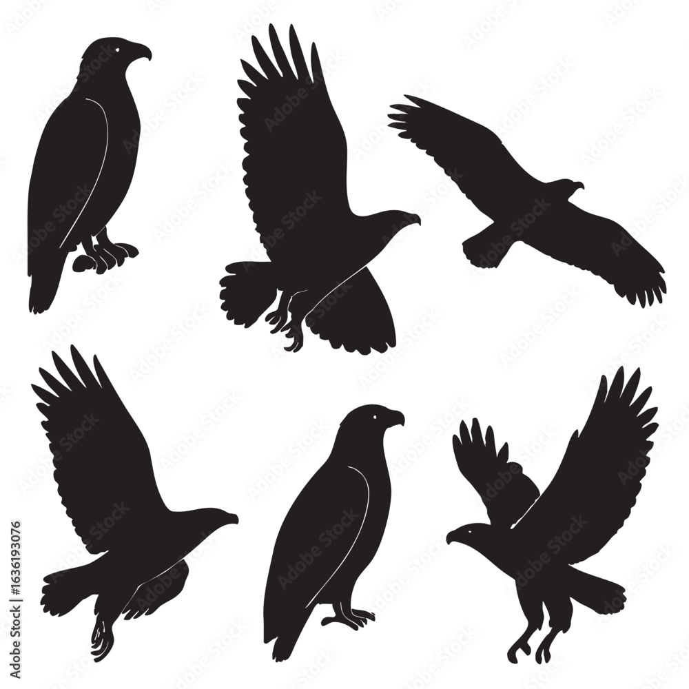Fototapeta premium Eagle Silhouette Vector Set Flying and Perched Birds Collection Wildlife and Nature Illustration for Design and Decoration