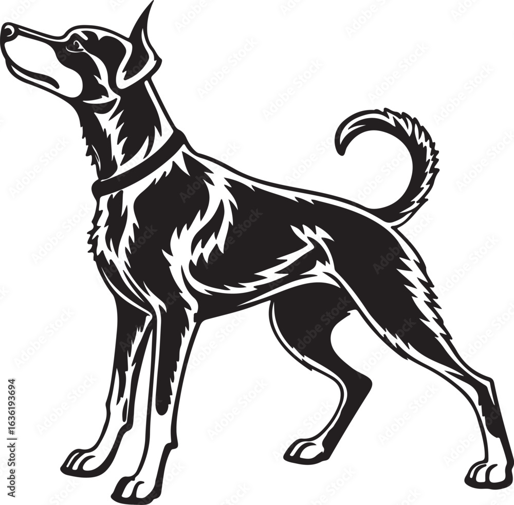 Fototapeta premium Drever dog vector art silhouette image