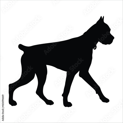 Silhouette of a Walking Dog Isolated on White Background