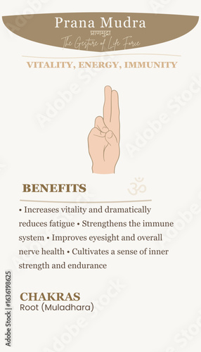 Prana Mudra: Gesture of Life Force Illustration