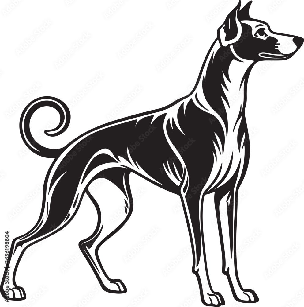Obraz premium Drever dog vector art silhouette image