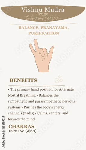 Vishnu Mudra: Hand Gesture for Pranayama