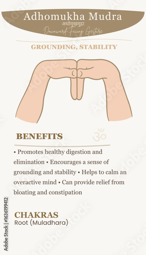 Adhomukha Mudra: Downward Facing Gesture Guide