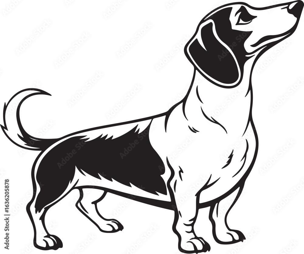Obraz premium Drever dog vector art silhouette image