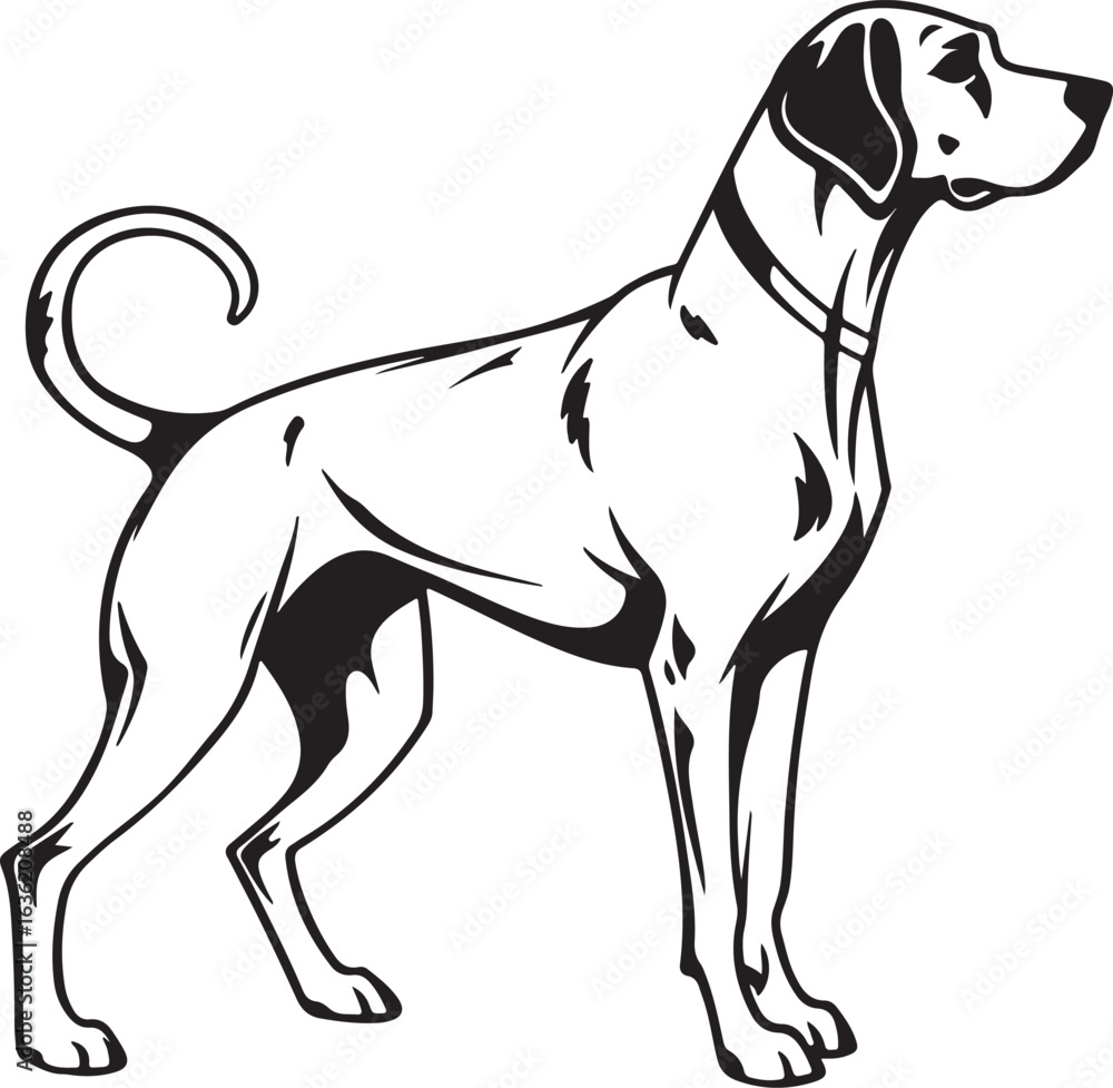 Fototapeta premium Drever dog vector art silhouette image