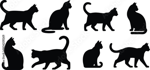 Collection of eight black cat silhouettes in different poses
