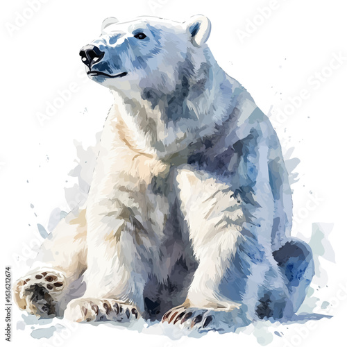 Polar Bear, watercolor vector, isolated on a white background.